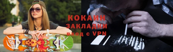 индика Арсеньев