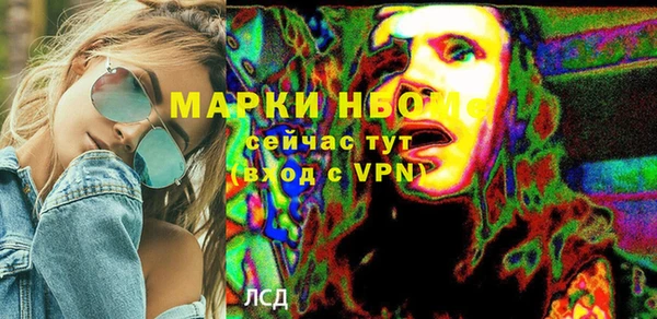 индика Арсеньев