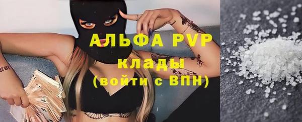 молекула духа Пересвет