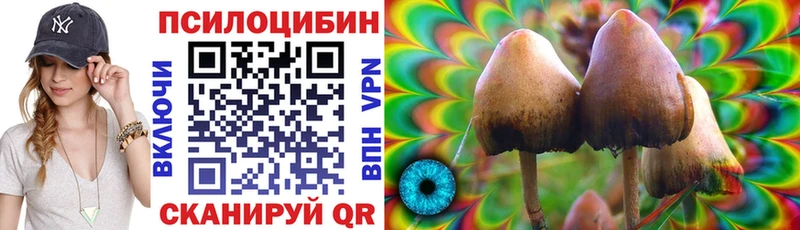 Псилоцибиновые грибы Cubensis Полесск